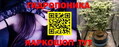 крисы Волгодонск