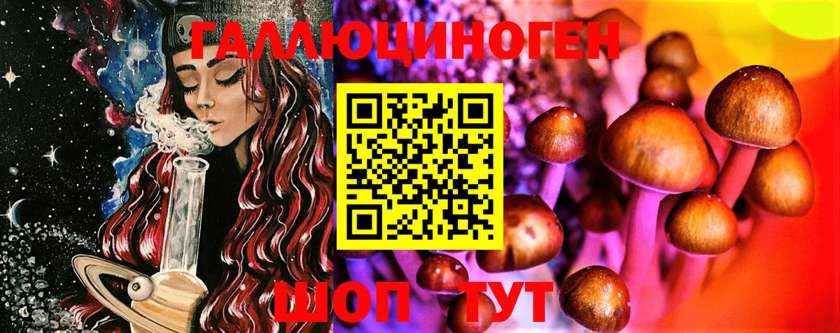Псилоцибиновые грибы Cubensis Асино
