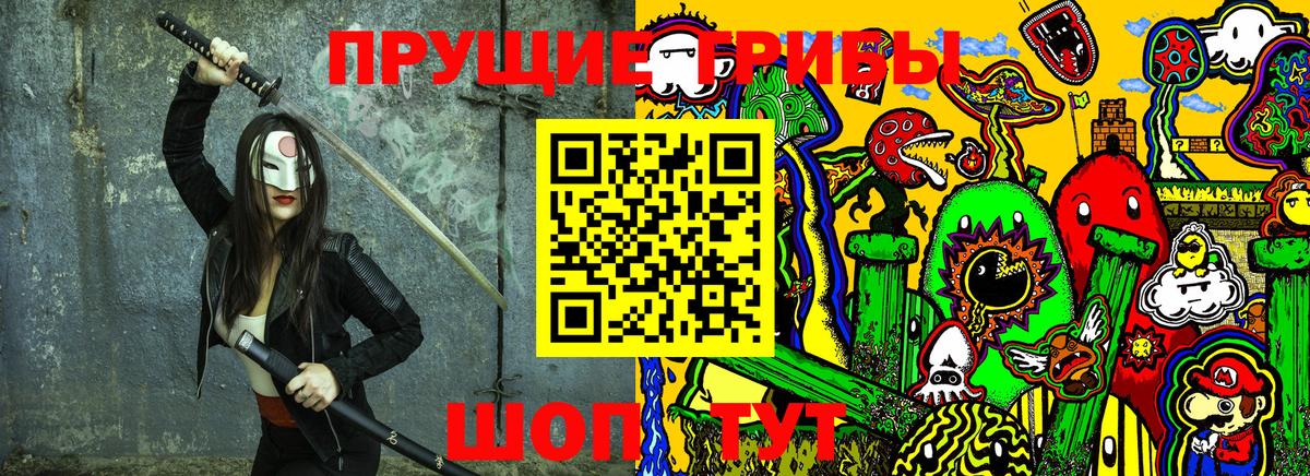 Галлюциногенные грибы GOLDEN TEACHER  Галлюциногенные грибы MAGIC MUSHROOMS  Асино  купить закладку  Вход с VPN 