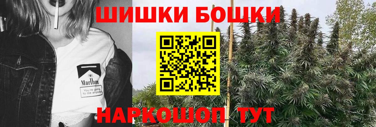 Асино  Каннабис сатива  Вход с VPN  Шишки марихуана планчик  Шишки марихуана OG Kush 
